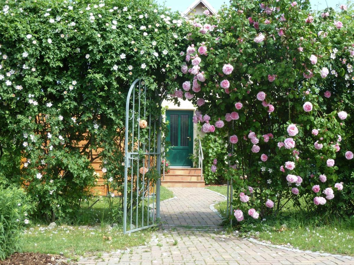 Ferien Auf Ruegen Familie Geist Apartment Garz  Exterior foto